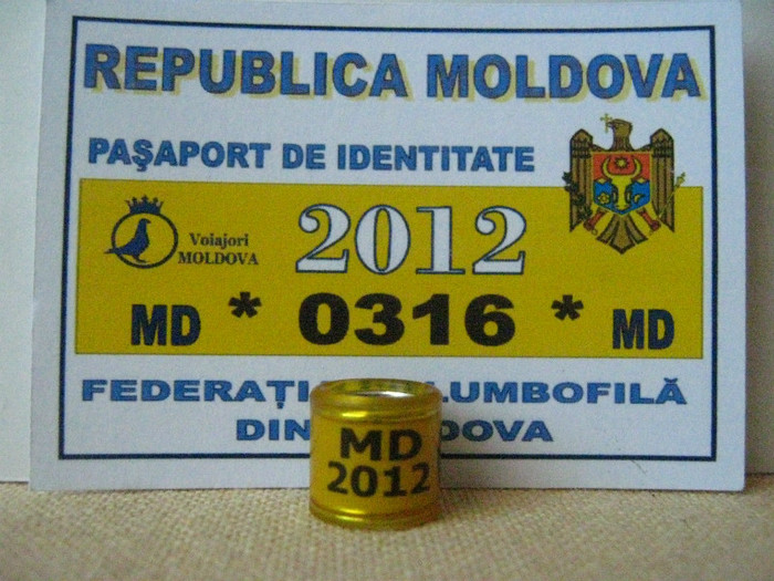 MD 2012