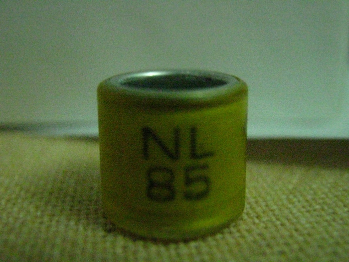 NL 85