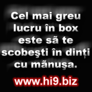 Cel mai greu lucru in box este sa te scobesti in dinti cu manusa - Poze hi9 Bizz--Haioase