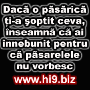 Daca o pasarica ti-a soptit ceva inseamna ca ai innebunit pentru ca pasarelele nu vorbesc