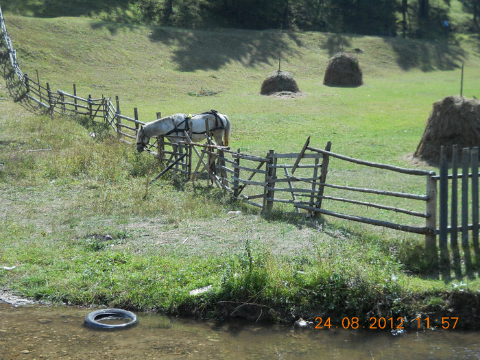 24.08.2012 077 - PEISAJE LACUL ROSU-CHEILE BICAZULUI