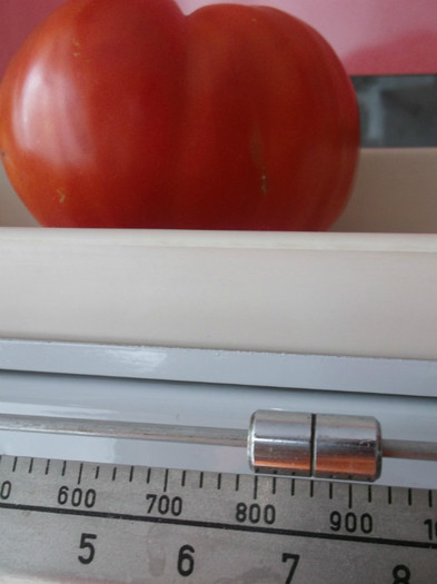 tomata de 860 gr
