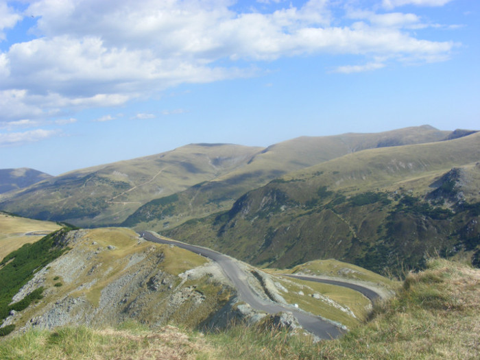 Transalpina - transalpina