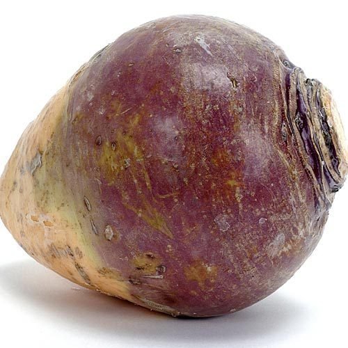 Laurentian Rutabaga