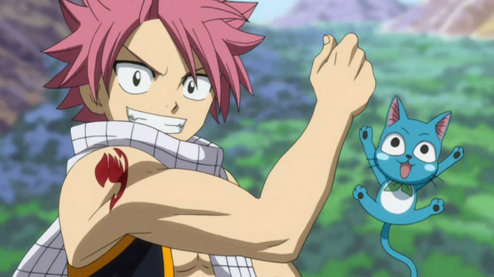 Natsu and Happy