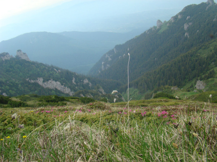 DSC09294 - Bran - Bucegi