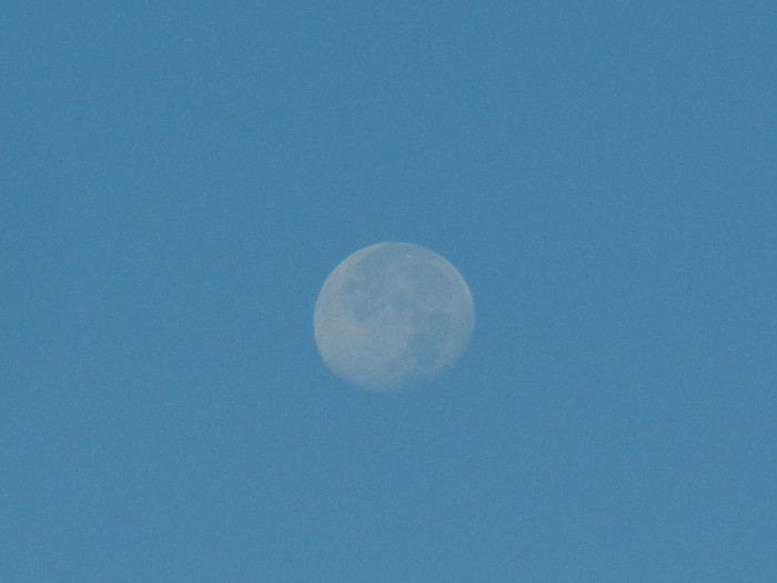 Beautiful Moon (2012, Sep.03, 8.03 AM)