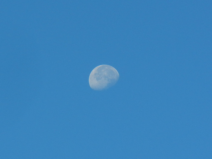 Beautiful Moon (2012, Sep.05, 8.09 AM)