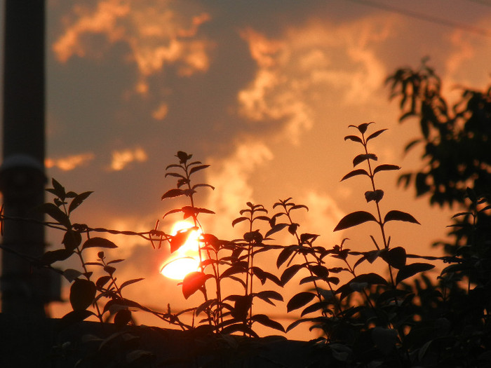 Sunset_Asfintit (2012, July 09, 8.19 PM)