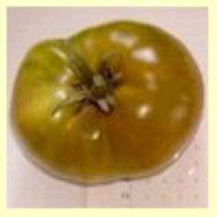tomato_cherokee-green_100; Pentru mine,cea mai grozava dintre verzi;da si un sos sau pasta de milioane.

