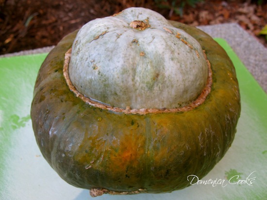 buttercup-squash2; Dovleac placintar Buttercup.Potrivit ca marime,1-1.2 kg de miez.
