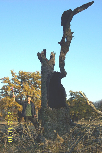 101_1815..SIMBOL..MONUMENT AL NATURII DIN REZERVATIE .SARCUL SAU BÂTLANUL.. - Subalbum 10 Noe 2012 o zi frumoasa de toamna tarzie pe Platoul Breite