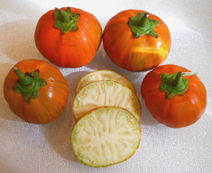 Turkish Orange VINETE