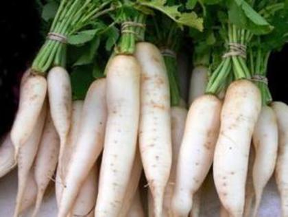 Japanese Minowase Daikon