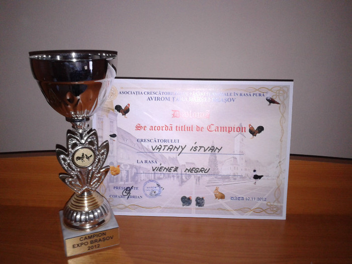 Campion Noiembrie 2012; Sex: 0-1 RO310 4202
Parinti: TATA RO511 HR22  VERES JANOS
           MAMA RO005 BV1331 VATANY ISTVAN
