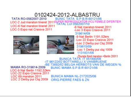 RO-0102424-2012 F; ALBASTRA
TEL-0746413768
