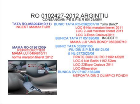 RO-0102427-2012 M; ARGINTIU
TEL-0746413768
