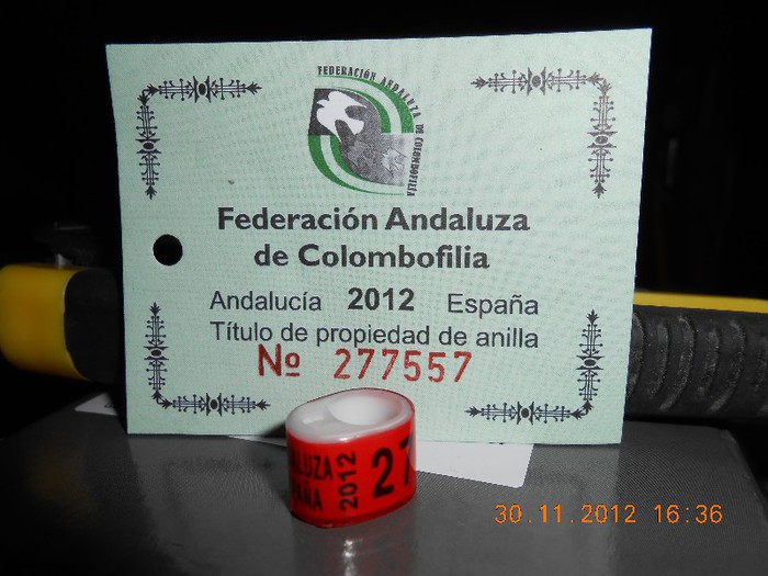 F.A.C. ESPANA ANDALUCIA   2o12