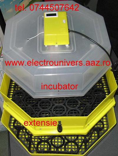 incubator supraetajat oua; incubatoare oua Cleo www.electrounivers.com

