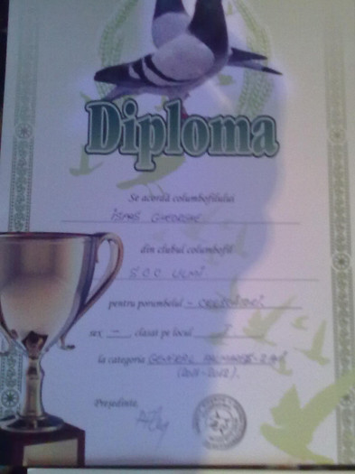 UNA DINTRE CELE 50  DE DIPLOME CASTIGATE IN ANUL 2012