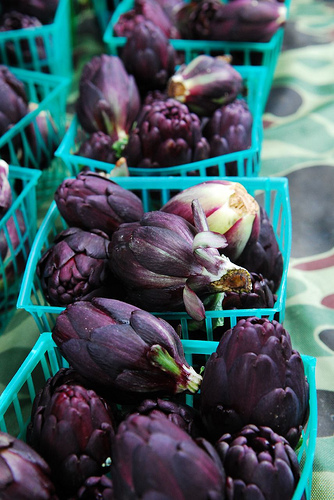 Violetta di Chioggia