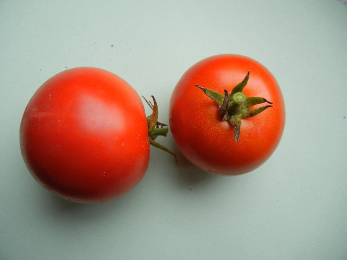 Saint-Pierre Tomatoes (2011, Sep.09)