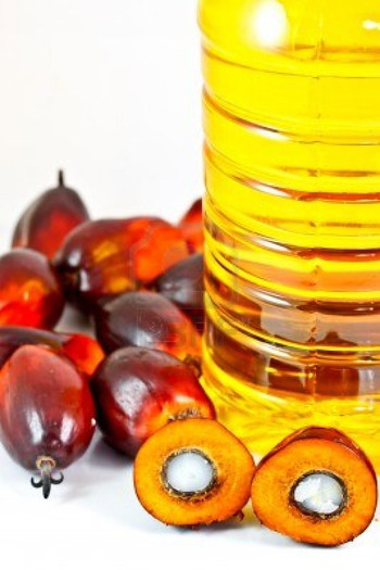 palm-fruits-and-palm-oil