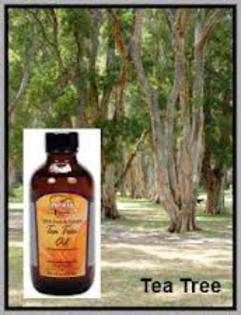 Tea tree oil