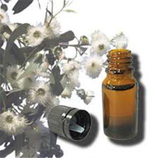 Eucalyptus oil