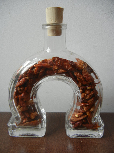 Lucky Horseshoe Glass Bottle; sticluta in forma de potcoava (Salzburg, Austria).
