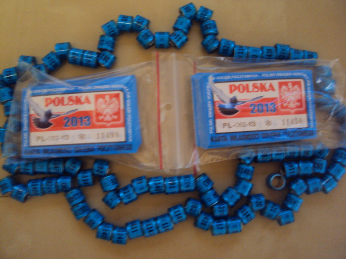 Polonia FCI 2013 4,5 lei