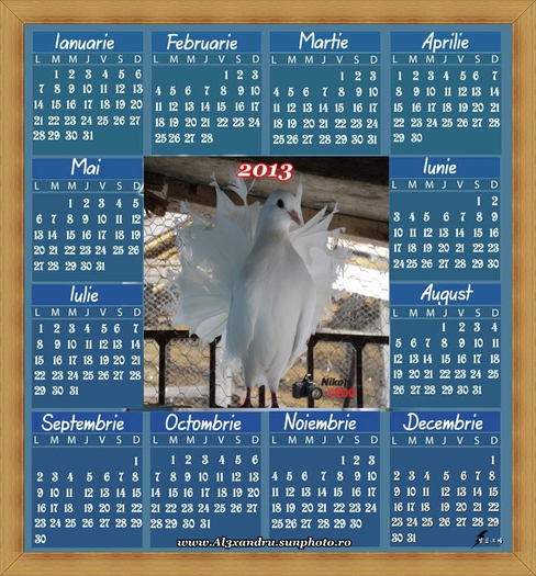 calendar_2013 voltat