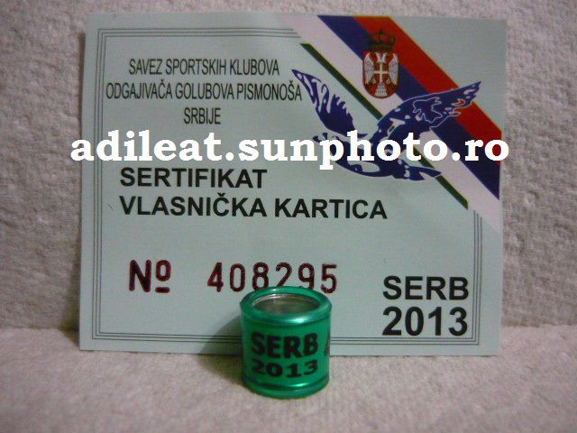 SERBIA-2013 - SERBIA-ring collection