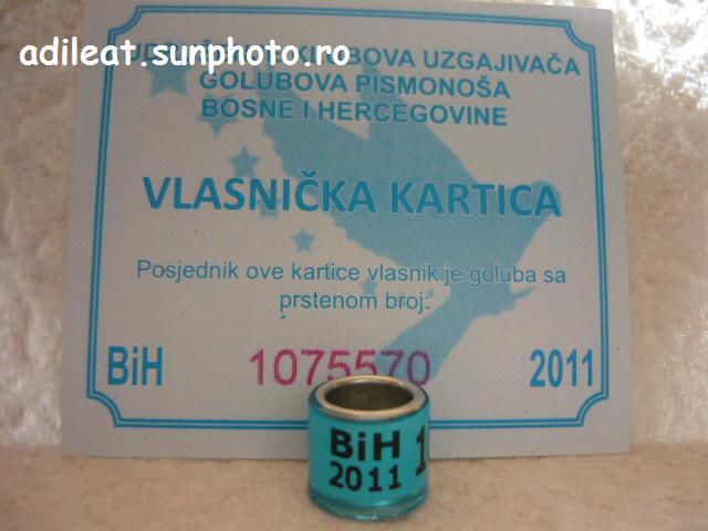BOSNIA-2011 - BOSNIA-ring collection