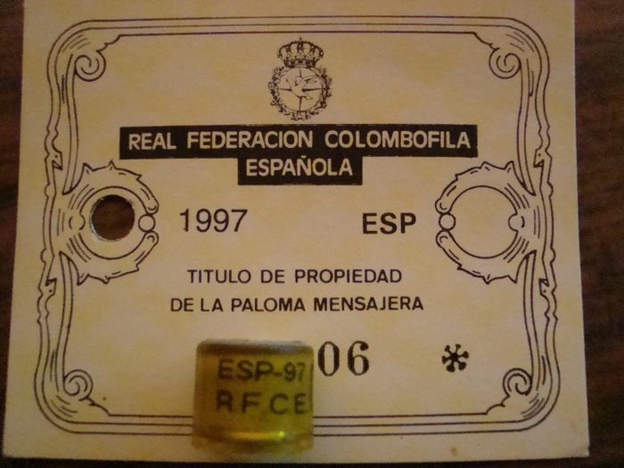 ESP-97  R.F.C.E.