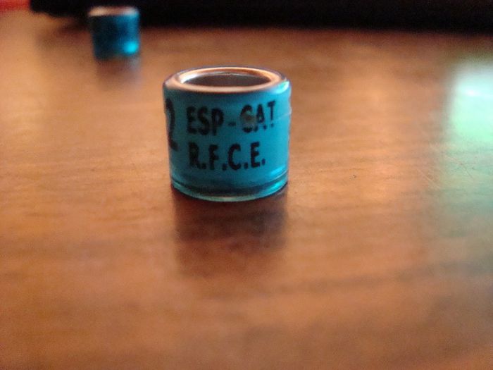 ESP-CAT     R.F.C.E.  2O11
