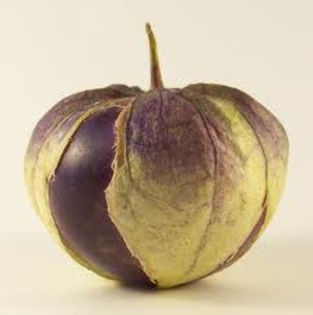 TOMATE TOMATILLO PURPLE