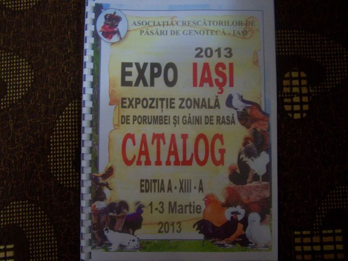 100_8121 - EXPO IASI 2013