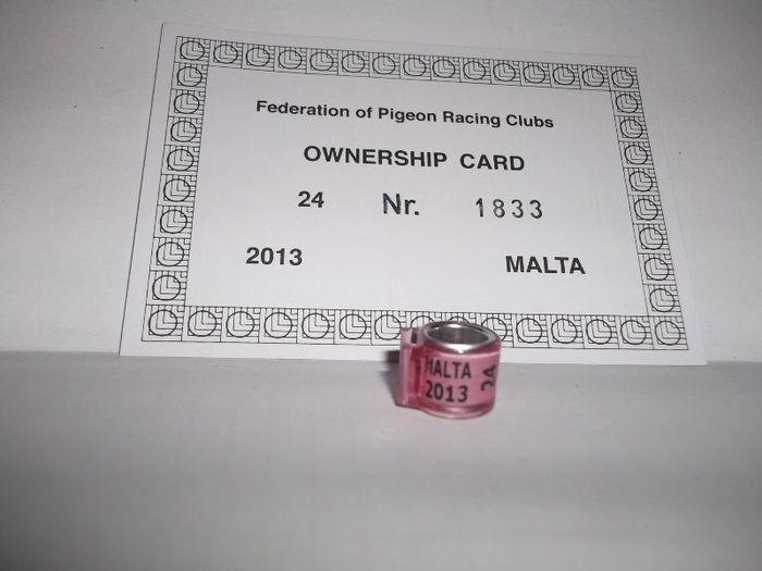 13 - INELE pentru schimb-exchange rings