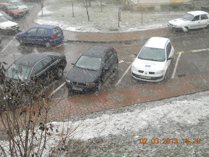 te uita cum ninge in martie - MARTIE 2013