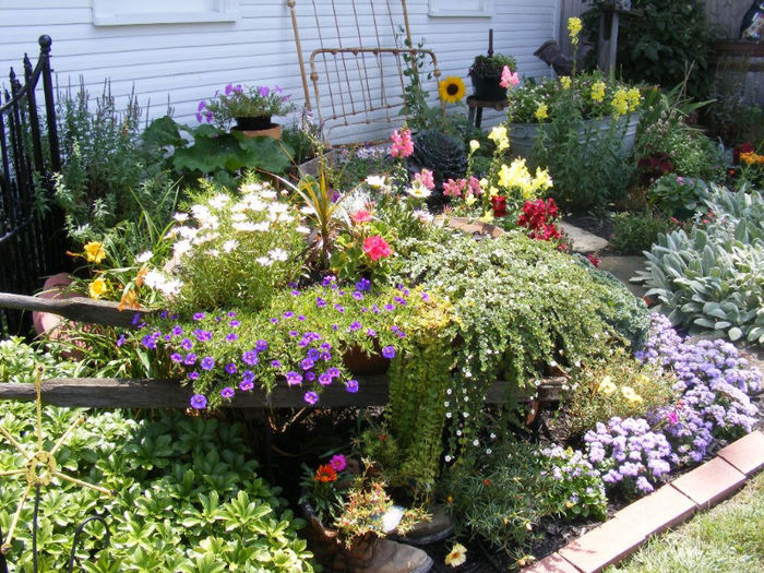 Flowers in Wheelbarrow