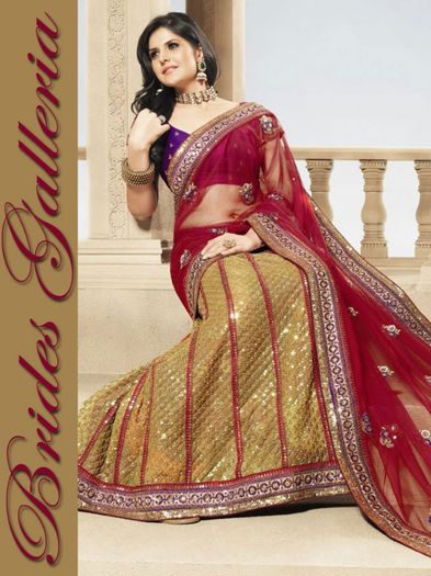 zarine-khan-latest-saree-9864_LRG