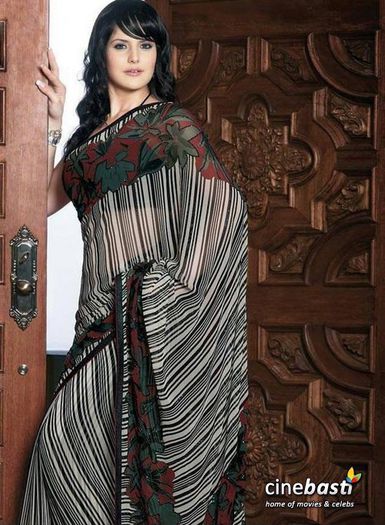 Zarine_Khan_Hot_Saree_Photoshoot_33 - Zarine Khan