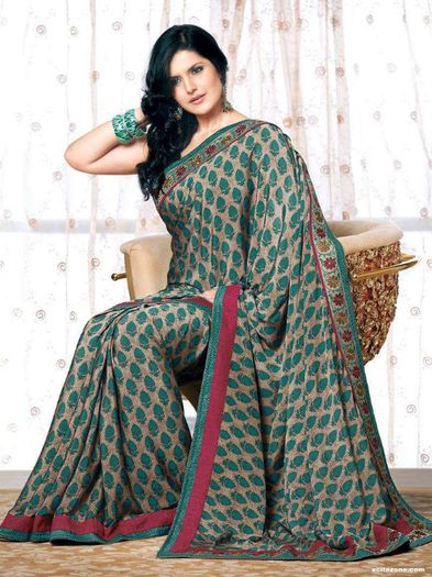 Zarine-Khan-Glorious-Saree-HQ-Images-18 - Zarine Khan