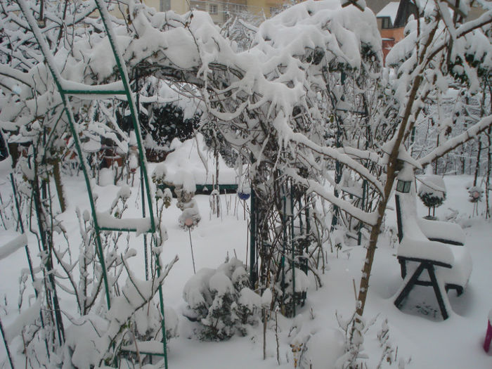 15.03.2013, s-a intors iarna - Gradinuta in 2013