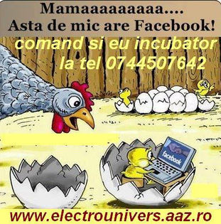 comenzi incubatoare www.electrounivers.com; Vind incubatoare cu mecanisme intoarcere oua de gaina si / sau oua de prepelita cu  termometru atasat cu posibilitate reglaj temperatura, ovoscoape, microferme pentru ingrijit puii dupa eclozare. Incu
