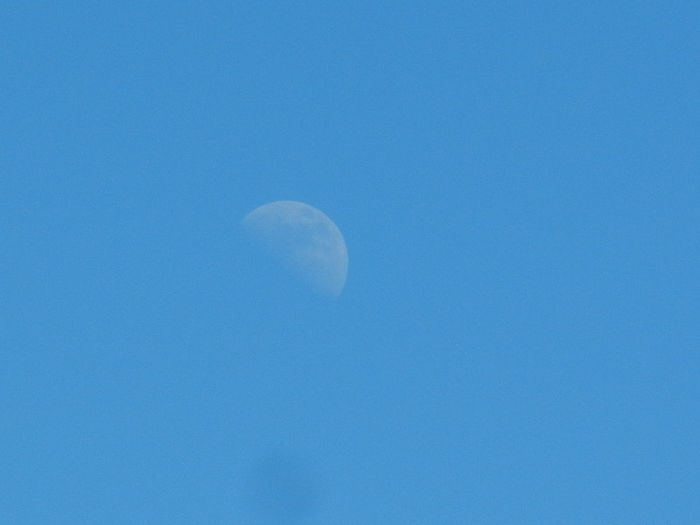 Beautiful Moon (2013, Mar.20, 1.20 PM) - MOON_Luna