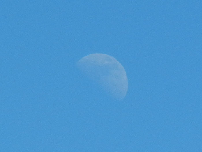 Beautiful Moon (2013, Mar.20, 1.21 PM) - MOON_Luna