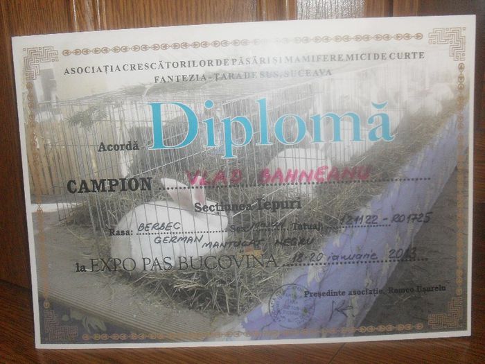 Diploma...