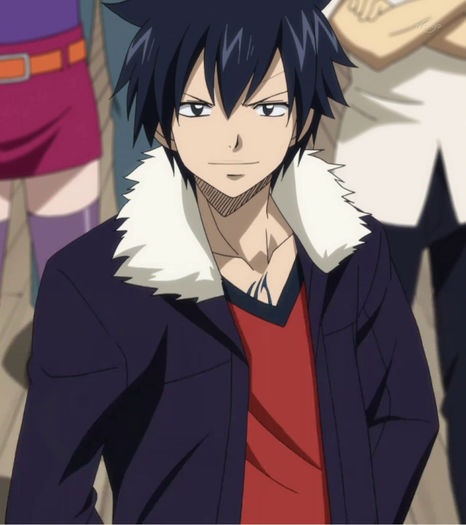 Gray.Fullbuster.full.1411407